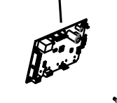 PEN475975