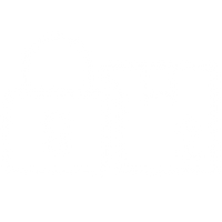 Secure Checkout & Reliable Shipping
